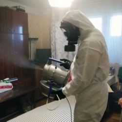 Дезинфекция от клопов в Кызыле