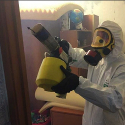 Уничтожение клопов в квартире. Кызыл
